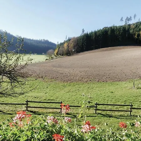 Two-bedroom In St. Georgen Am Langsee Appartement Toplach